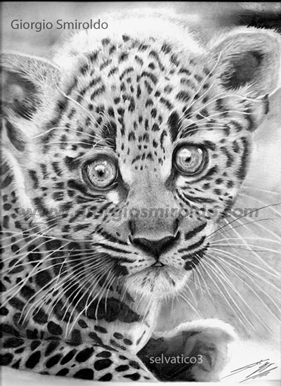 Disegni matita - 